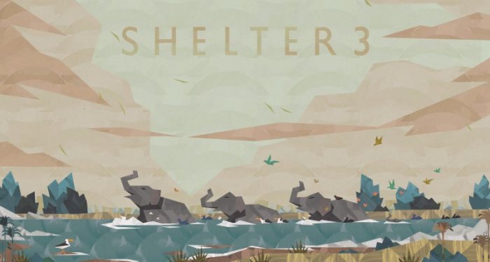 Shelter 3