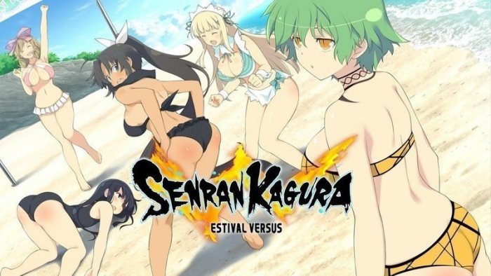 Senran Kagura Estival Versus