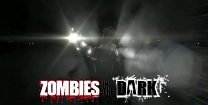 Zombies In The Dark