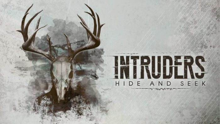 Intruders: Hide and Seek