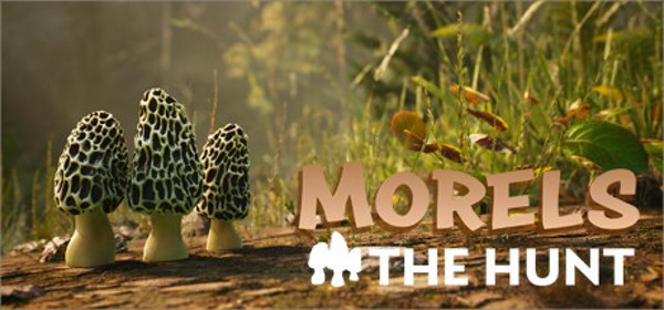 Morels The Hunt