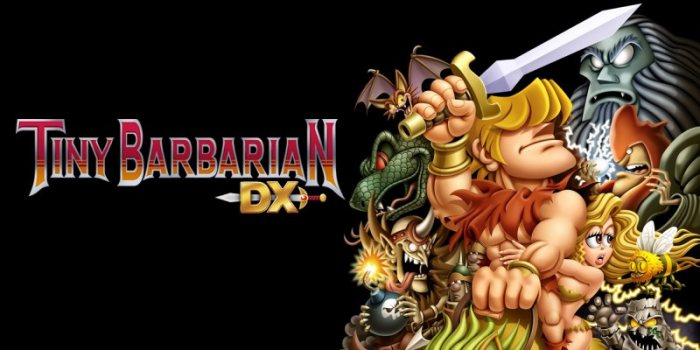 Tiny Barbarian DX