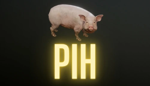 Pih