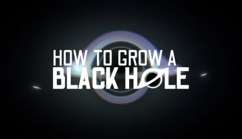 How To Grow a Black Hole